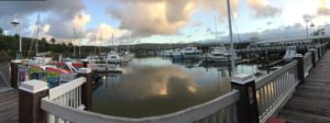 Port Douglas Marina