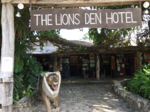 Lions Den Hotel